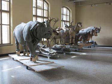 Berlin Museum