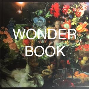 Wonder in Contemporary Art Practice
