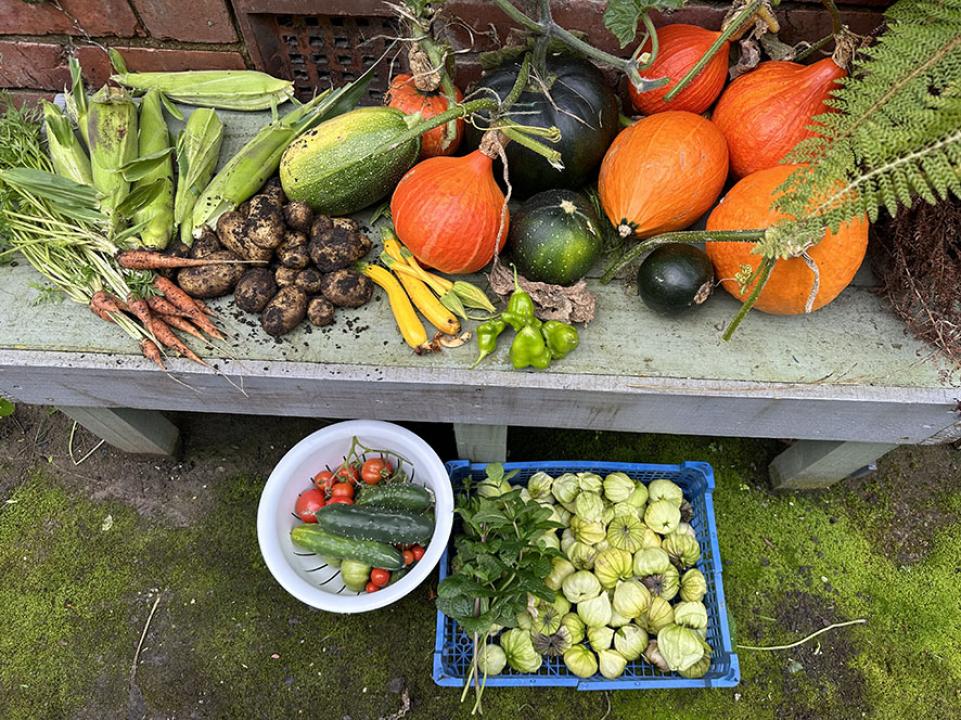 Harvest