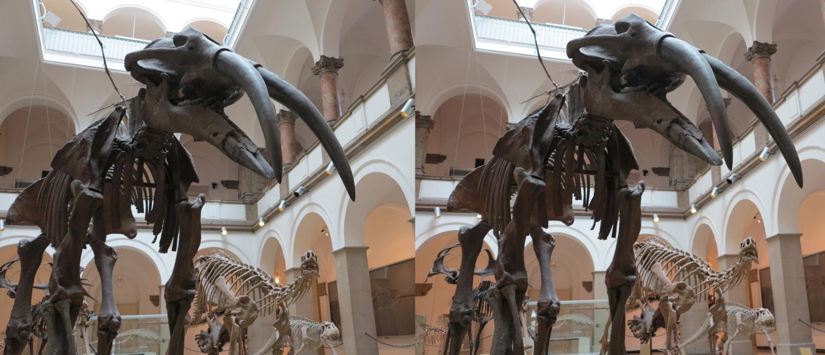 Paläontologisches Museum München