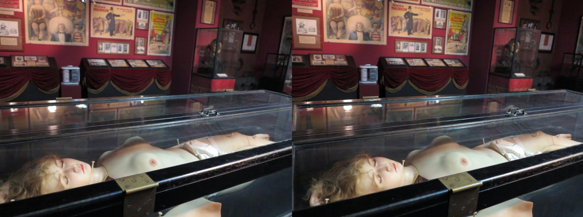 Panoptikum  Venus